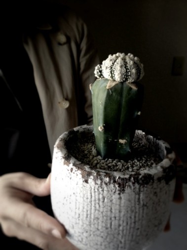 image (1)