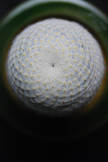 Q6110_detail